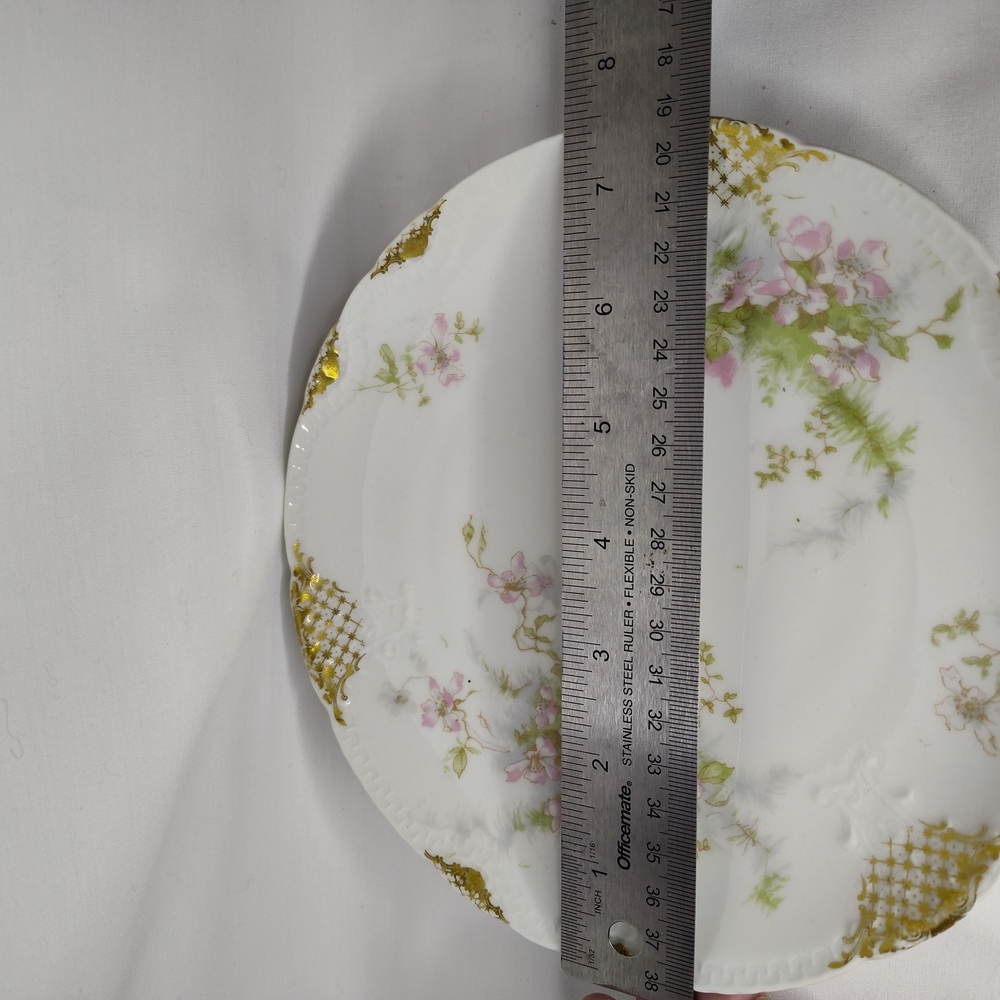 BEAUTIFUL Antique Theodore Haviland Limoges Plate, Late 1800s - Picture 4 of 5